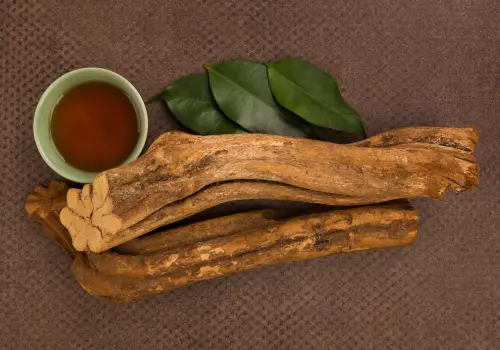 ayahuasca